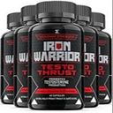 ironwarriortesto3